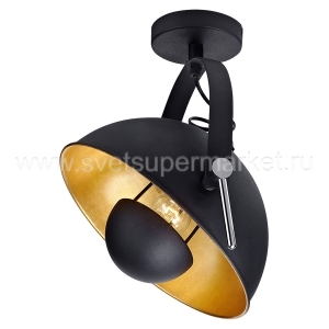 Настенно Потолочный Светильник Lussole Loft LOFT LSP-9825