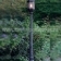 Уличный светильник на опоре OUTDOOR