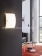 Светодиодный светильник настенно-потолочный Led Borgo 2