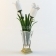 Настольная лампа I Tulipani