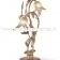 Настольная лампа NARCISO 2218/02BA коричнево-золотой