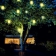 Подвесной светильник Rotaliana Lampion LAMPION H2 verde