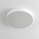 Потолочны светильник Купер White RGB