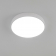 Потолочны светильник Купер White RGB