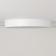 Потолочны светильник Купер White RGB