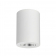Потолочный светильник Syprocom lighting Focus -R120 White