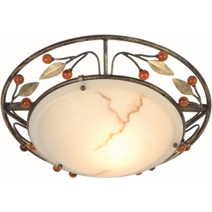 Настенно-потолочный светильник Savanna Globo