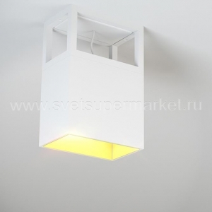 Потолочный светильник SKINNER-BOX