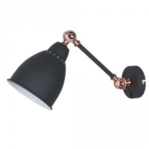 Настенный светильник BRACCIO Arte Lamp