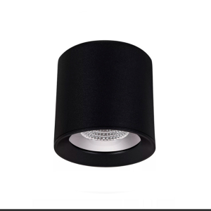 Накладной потолочный светильник Loctus Black