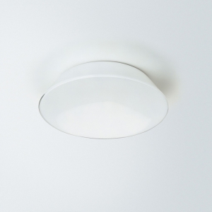 Настенный/Потолочный светильник  Conca W2 bianco