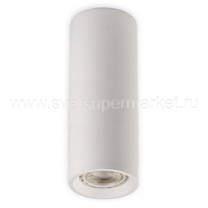 Потолочный светильник  Pipe CW2 M02-65200 white white Megalux Lighting