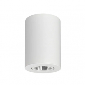 Потолочный светильник Syprocom lighting Focus -R120 White