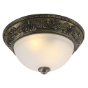 Потолочный светильник Mount Ceiling Light