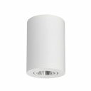 Потолочный светильник Syprocom lighting Focus -R120 White
